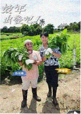 青春环游记